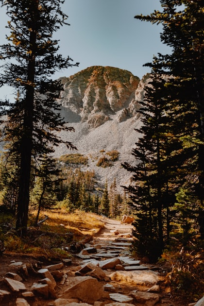 Beginner Friendly Hiking Paths